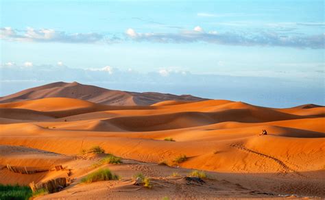 sunrise on the red dunes.